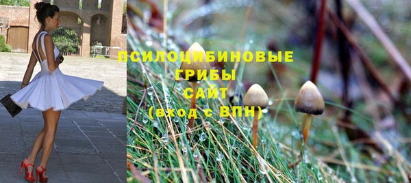 ешки Белокуриха