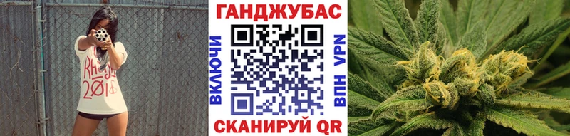 Конопля план  darknet телеграм  Светлый  сколько стоит 